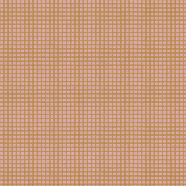 Good Boy and Kitty 81280-13 Gingham Shrimp