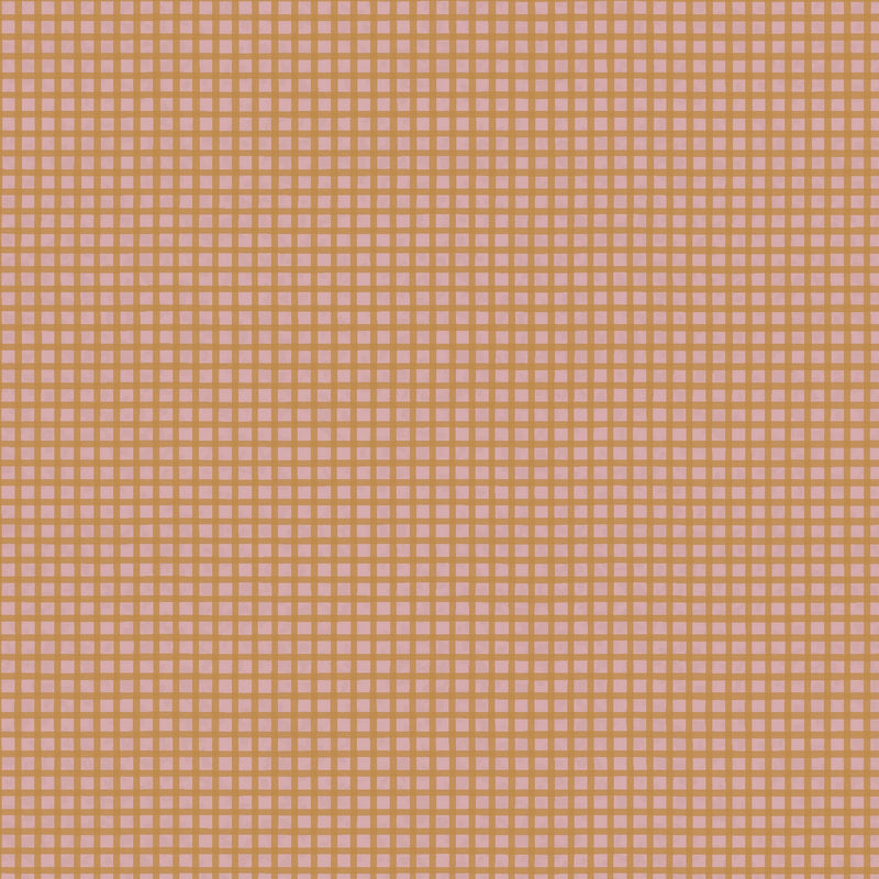 Good Boy and Kitty 81280-13 Gingham Shrimp