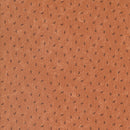 Moda Jelly Roll Daisy Lane