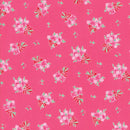 Moda Jelly Roll Guest Room - Puddleducks Quilts